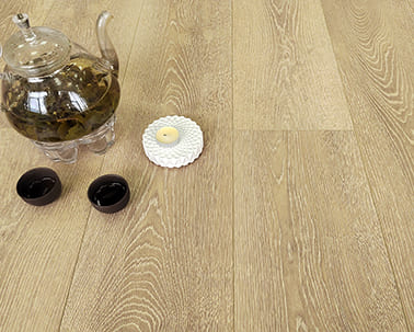 dub-letnee-utro-91790b-2